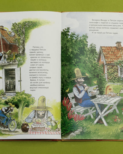 Книга Именинный пирог 5